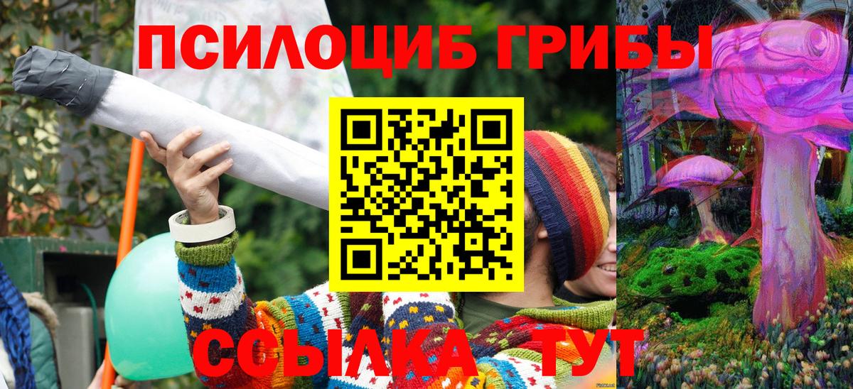 Псилоцибиновые грибы Psilocybine cubensis Междуреченск