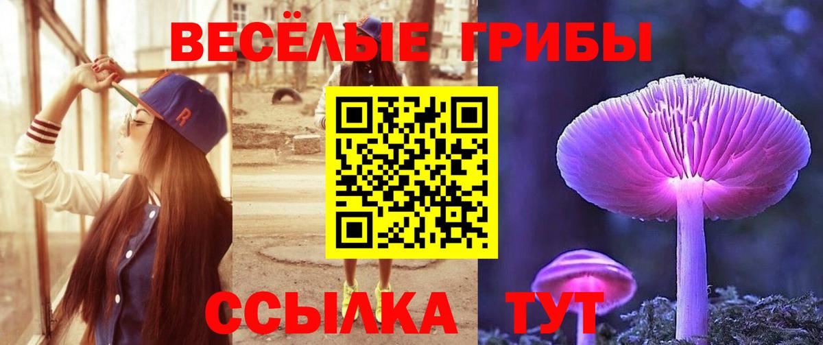 Галлюциногенные грибы мицелий  Псилоцибиновые грибы Psilocybine cubensis  Междуреченск  Вход с VPN 